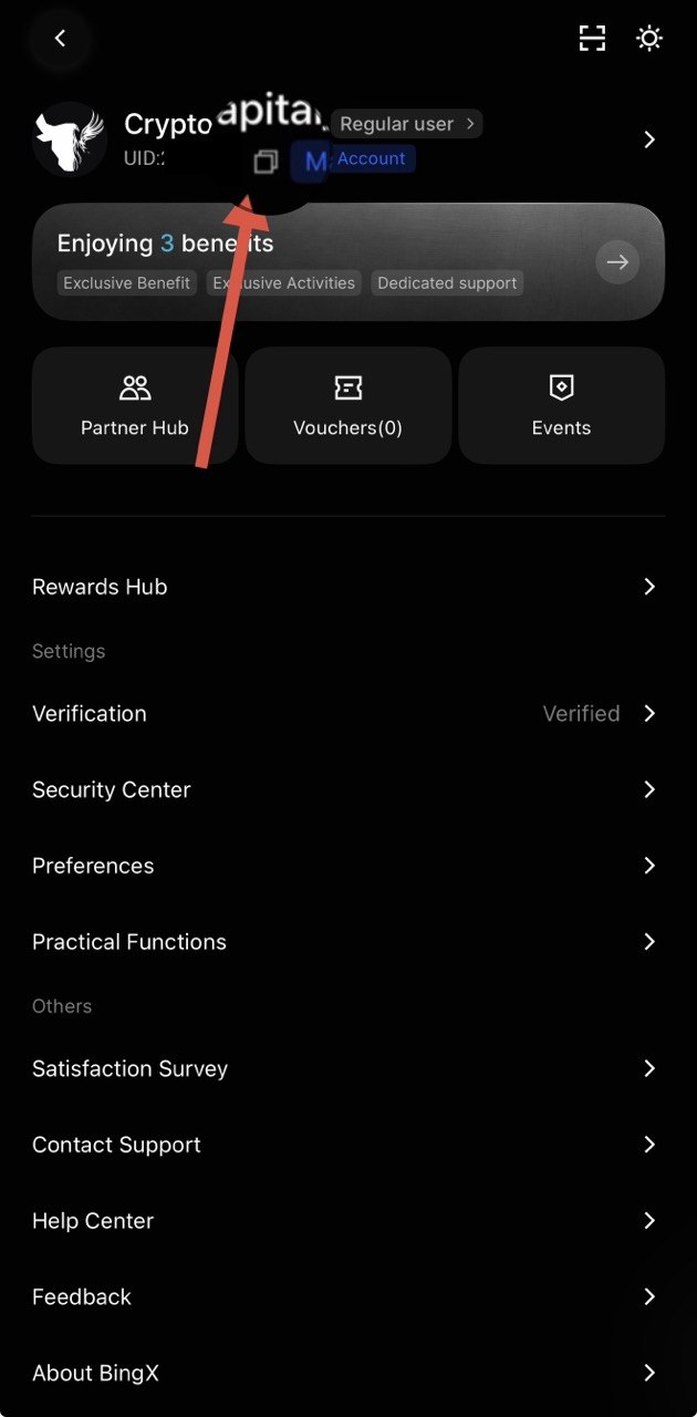 BingX App Konto-Seite mit UID und Kopier-Symbol